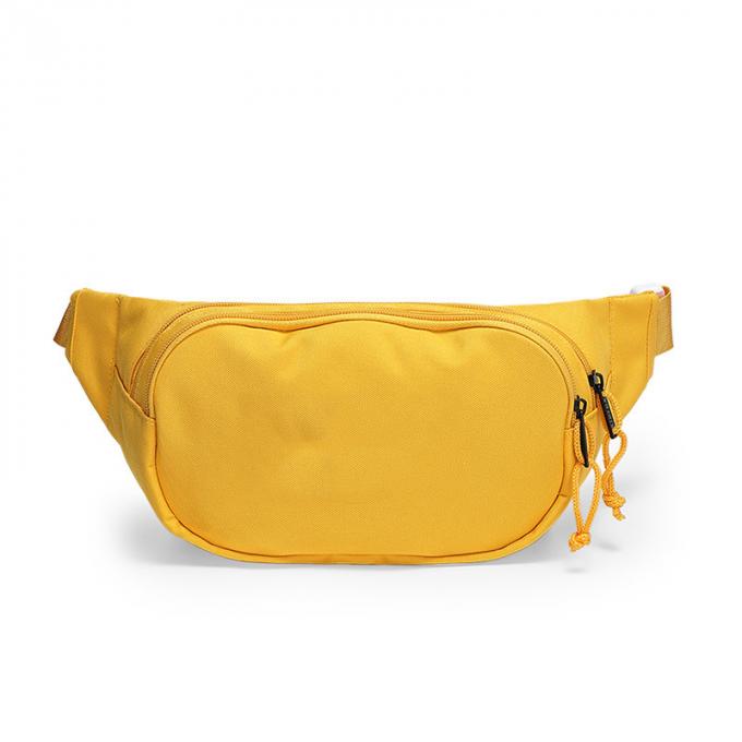 Sac de hausse pulsant de vente chaud de ceinture de hanche de promotion de paquet de chatte de mode colorée