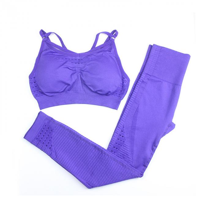 les femmes folâtrent le costume de séance d'entraînement d'usage soutien-gorge de sport d'ensemble de sport de gymnase d'ensemble de yoga de 2 morceaux avec des guêtres